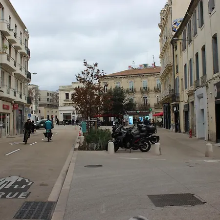 Apartman Avec Beaucoup De Cachet Et Calme Montpellier